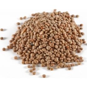 Lentils thin BIO (AIFOROS GI)