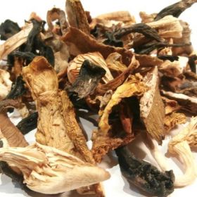 Dried Porcini Mushroom (METEORA)