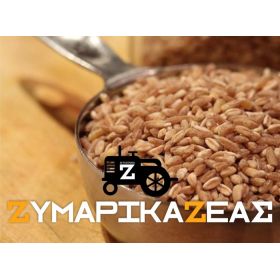 Ζυμαρικά Ζέας