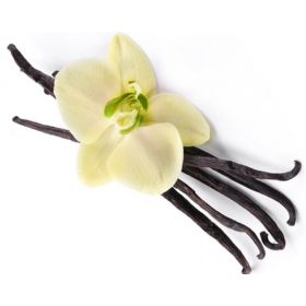 Vanilla extrakt BOURBON organic (ΟΛΑ Bio)